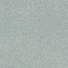 Shaw Floors Nfa/Apg Subtle Charm Tonal I Distant Valley (t)