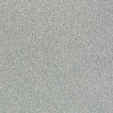 Shaw Floors Nfa/Apg Subtle Charm Tonal I Water's Edge (t)