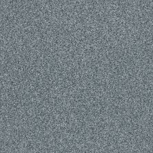 Shaw Floors Nfa/Apg Subtle Charm Tonal I Tropical Hideaway (t)