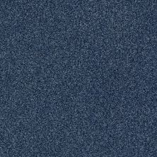 Shaw Floors Nfa/Apg Subtle Charm Tonal I River Boat Ride (t)