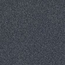 Shaw Floors Nfa/Apg Subtle Charm Tonal I Washed Indigo (t)
