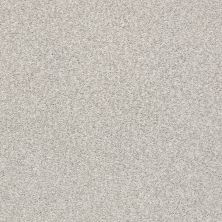 Shaw Floors Nfa/Apg Subtle Charm Tonal I Quiet Time (t)