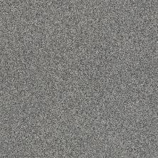 Shaw Floors Nfa/Apg Subtle Charm Tonal I Lighthouse Shadows (t)