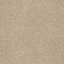 Shaw Floors Nfa/Apg Subtle Charm Tonal I Walk On The Beach (t)