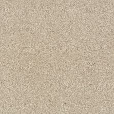 Shaw Floors Nfa/Apg Subtle Charm Tonal I Dinner With Friends (t)