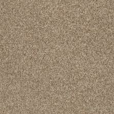 Shaw Floors Nfa/Apg Subtle Charm Tonal I Camping Trip (t)