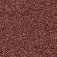 Shaw Floors Nfa/Apg Subtle Charm Tonal I Serene Sunset (t)