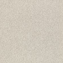 Shaw Floors Nfa/Apg Subtle Charm Tonal II Need A Hug (t) 0129T_NA246
