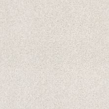 Shaw Floors Nfa/Apg Subtle Charm Tonal II Cake Frosting (t) 0155T_NA246