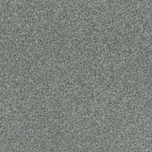 Shaw Floors Nfa/Apg Subtle Charm Tonal II Cottage Garden (t) 0308T_NA246