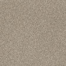 Shaw Floors Nfa/Apg Subtle Charm Tonal II Dockside View (t) 0722T_NA246