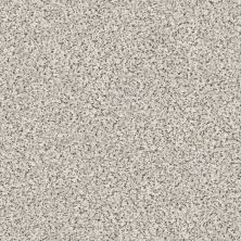 Shaw Floors Nfa/Apg Subtle Charm Accent I Glam Up (a)