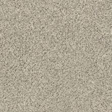 Shaw Floors Nfa/Apg Subtle Charm Accent I Online Date (a)