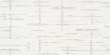 Shaw Floors Nfa/Apg Refined Affect Purity 00100_NA251