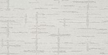 Shaw Floors Nfa/Apg Refined Affect Atmospheric 00102_NA251