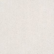 Shaw Floors Nfa/Apg Elation Calm