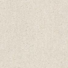 Shaw Floors Nfa/Apg Elation Awaken