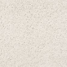 Shaw Floors Nfa/Apg Subtle Sensation Delicate