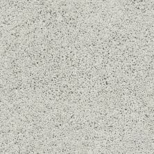 Shaw Floors Nfa/Apg Subtle Sensation Sky Washed