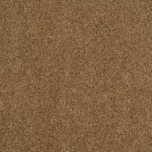 Shaw Floors Nfa/Apg Phenomenal Leather Bound 00702_NA260