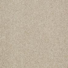 Shaw Floors Nfa/Apg Uncomplicated Frost 00104_NA263