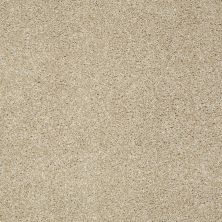 Shaw Floors Nfa/Apg Uncomplicated Field Stone 00105_NA263
