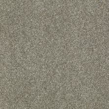 Shaw Floors Nfa/Apg Uncomplicated Silver Sage 00310_NA263
