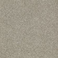 Shaw Floors Nfa/Apg Uncomplicated Gray Flannel 00511_NA263