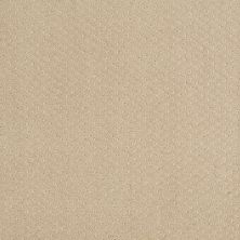 Shaw Floors Nfa/Apg Meaningful Design Dunes 00102_NA265