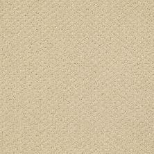 Shaw Floors Nfa/Apg Meaningful Design Frost 00104_NA265