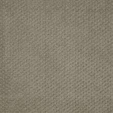 Shaw Floors Nfa/Apg Meaningful Design Silver Sage 00310_NA265