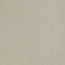 Shaw Floors Nfa/Apg Meaningful Design Cold Water 00510_NA265