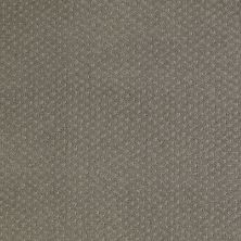 Shaw Floors Nfa/Apg Meaningful Design Pewter 00513_NA265
