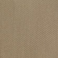 Shaw Floors Nfa/Apg Meaningful Design Prairie 00710_NA265