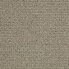 Shaw Floors Nfa/Apg World View Gray Flannel 00511_NA266