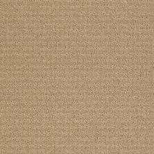 Shaw Floors Nfa/Apg World View Natural Wood 00701_NA266