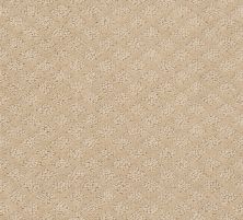 Shaw Floors Nfa/Apg Nature's Own Dunes