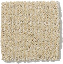 Shaw Floors Nfa/Apg Breakthrough Linen 52K72_00101
