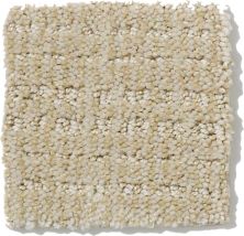 Shaw Floors Nfa/Apg Breakthrough Canvas 52K72_00103