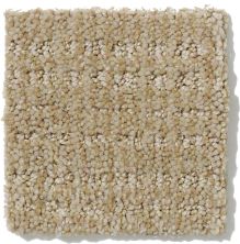Shaw Floors Nfa/Apg Breakthrough Frost 52K72_00104