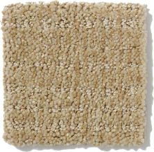 Shaw Floors Nfa/Apg Breakthrough Field Stone 52K72_00105