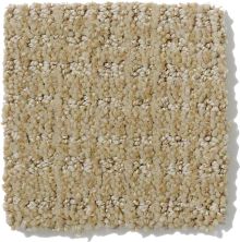 Shaw Floors Nfa/Apg Breakthrough Wool Skein 52K72_00111