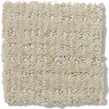 Shaw Floors Nfa/Apg Breakthrough Mist 52K72_00112