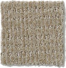 Shaw Floors Nfa/Apg Breakthrough Gray Flannel 52K72_00511