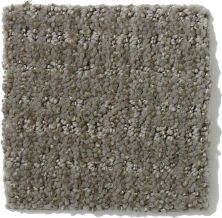 Shaw Floors Nfa/Apg Breakthrough Pewter 52K72_00513