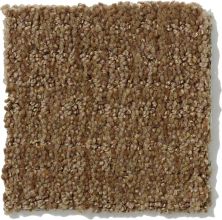 Shaw Floors Nfa/Apg Breakthrough Travertine 52K72_00711