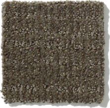 Shaw Floors Nfa/Apg Breakthrough Graphite 52K72_00712