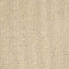Shaw Floors Nfa/Apg Effortless Grace Winter White 00100_NA270