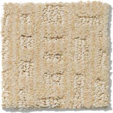 Shaw Floors Nfa/Apg Instant Impact Winter White 52507_00100