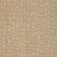 Shaw Floors Nfa/Apg Effortless Grace Field Stone 00105_NA270